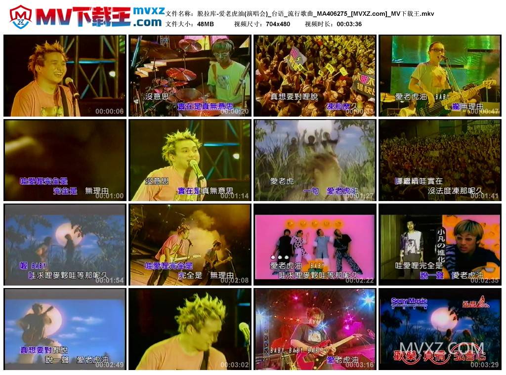 脱拉库-爱老虎油(演唱会)_台语_流行歌曲_MA406275
